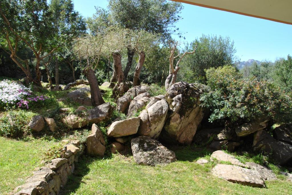 Sa Jaga Brujada Residence - Simar Vacanze Porto Rotondo Exterior foto